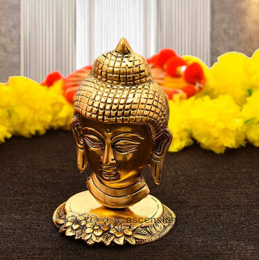 https://cdn.shopify.com/s/files/1/1857/6931/files/Y3LZGBrJWy-468497.jpg?v=1736149506